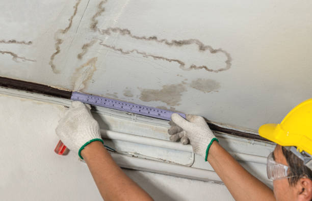 Reliable Burst Pipe Cleanup contractor in New Haven, MI by Local Water Damage Repair